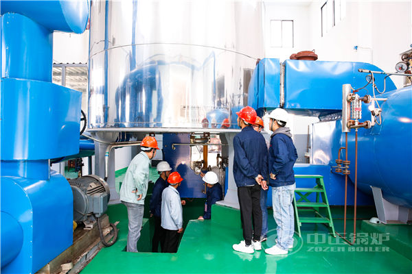 生物質鍋爐廠家